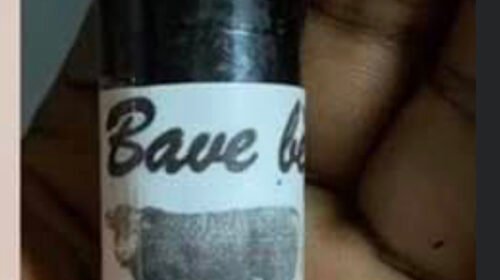 Bavé bèf ayiti  (Free shipping )