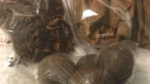 3 gro boul chocolate ayiti (free shipping)