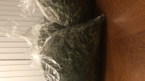 1 gro paké LaLo Sech (Free shipping)