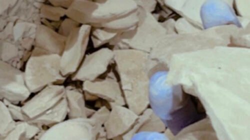 3 Lbs Tè argile ayiti (Free shipping)