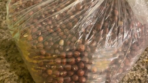 6 Lbs Pwa congo sèch ayiti (Free Shiping)